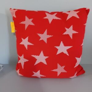 Sun squad  indoor outdoor Pillow